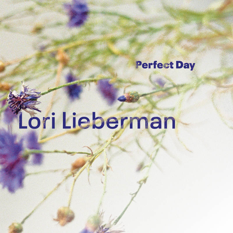 Lori Lieberman Perfect Day Cover