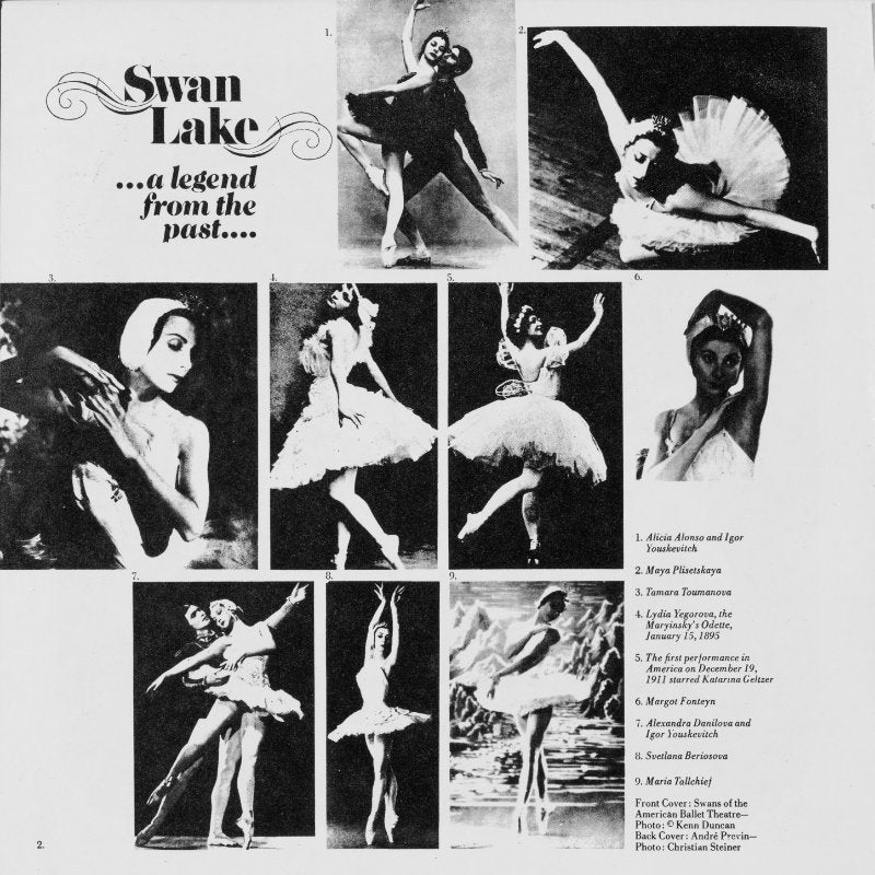 Tchaikovsky Swan Lake Inlay 2